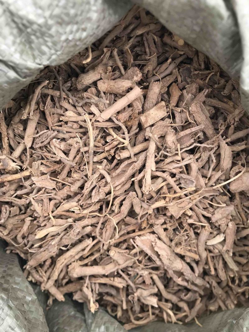 地骨皮无硫野生地骨皮产地直销