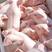 种猪场长白大白二元母猪产仔率高生长速度快53抗病能力