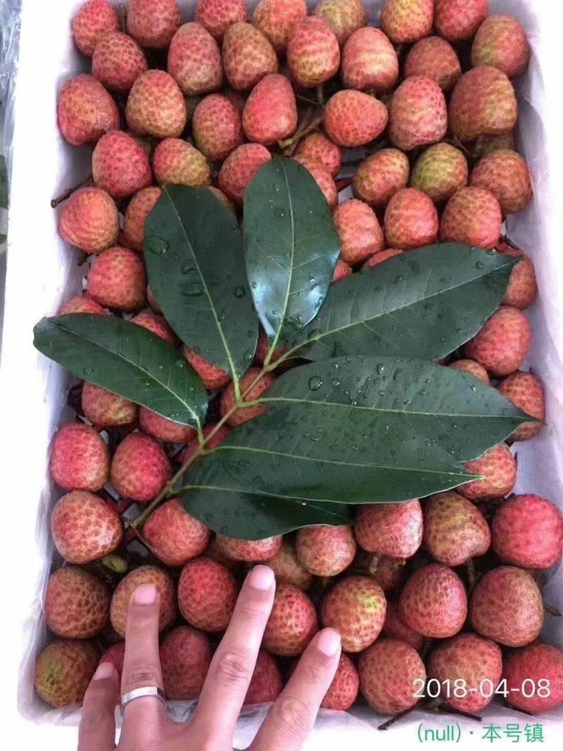 荔枝桂味，糯米糍
