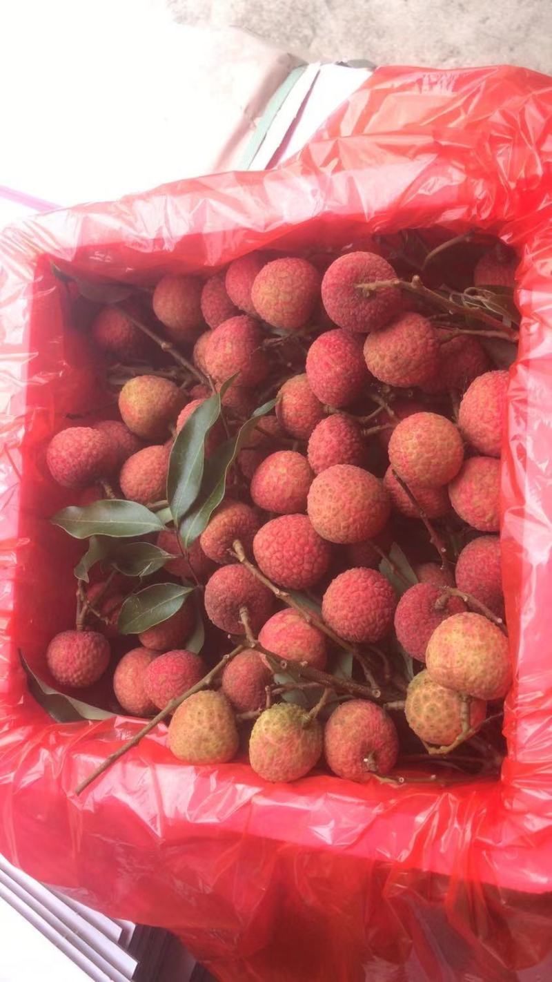 荔枝桂味，糯米糍
