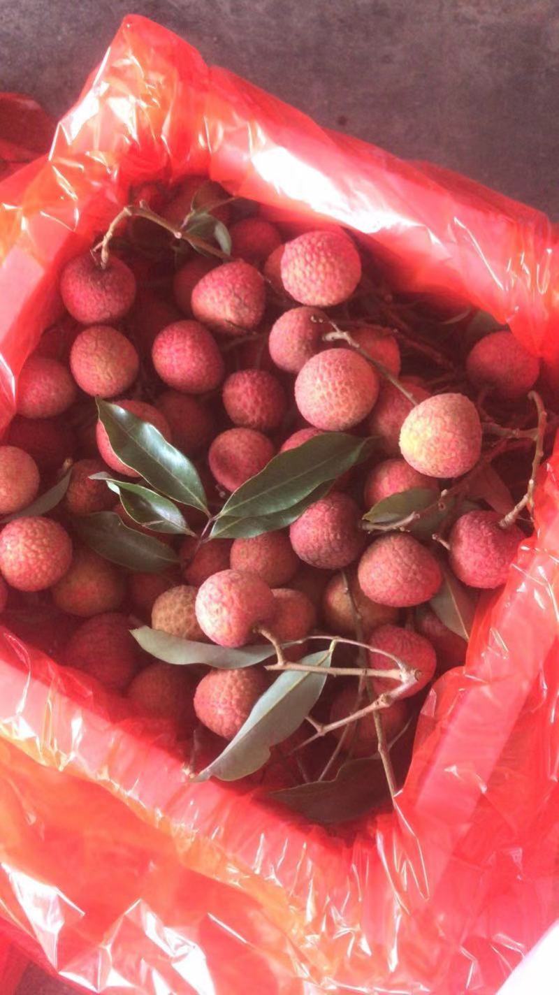 荔枝桂味，糯米糍