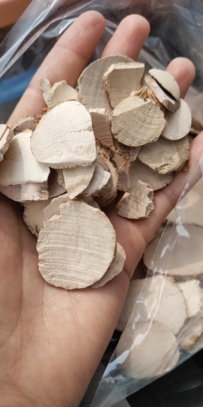 三棱好统货无碎末佳佳药业供应各种中药材