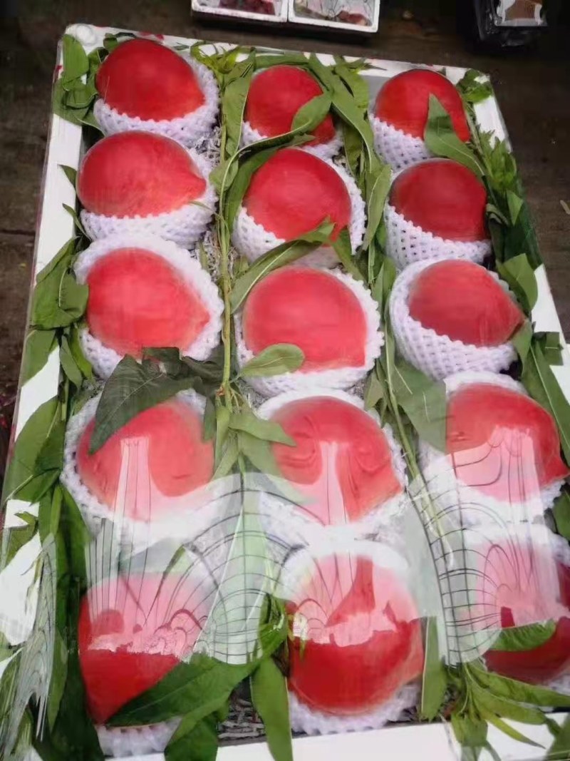优质突围，毛桃大量上市质量好，价格低，货源充足。质量保证