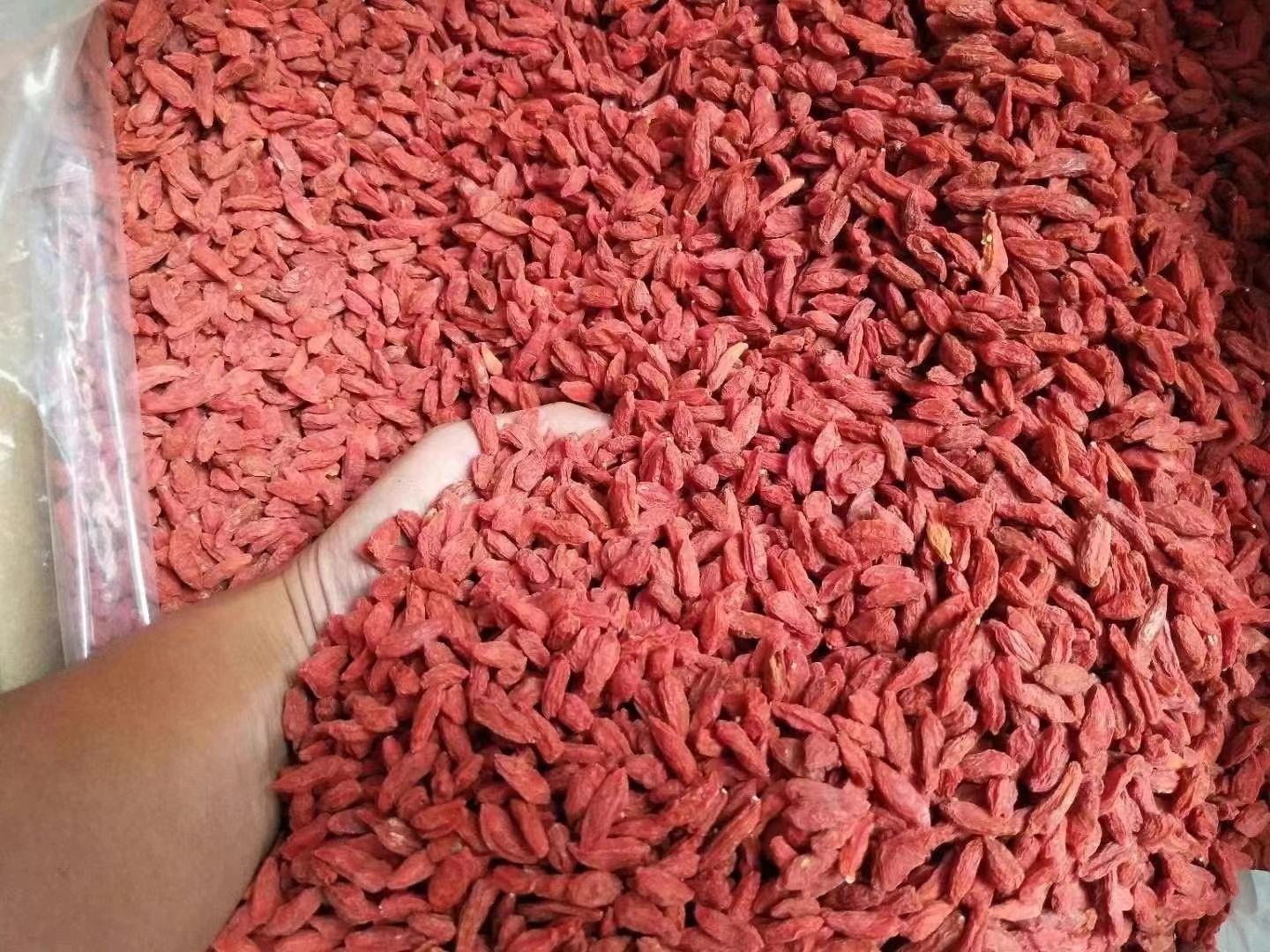 枸杞与健康生活方式