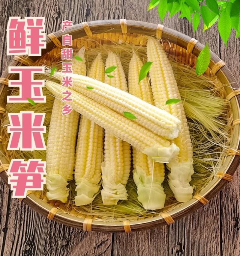 新鲜甜玉米笋玉米芯仔嫩玉米迷你小玉米蔬菜涉拉农产现发包邮