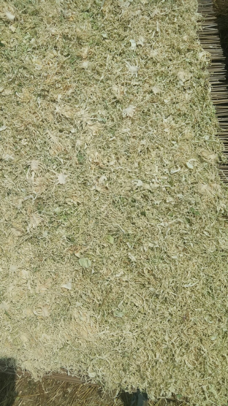 精品包菜丝产地直发品质保证一手货源量大从优欢迎联系