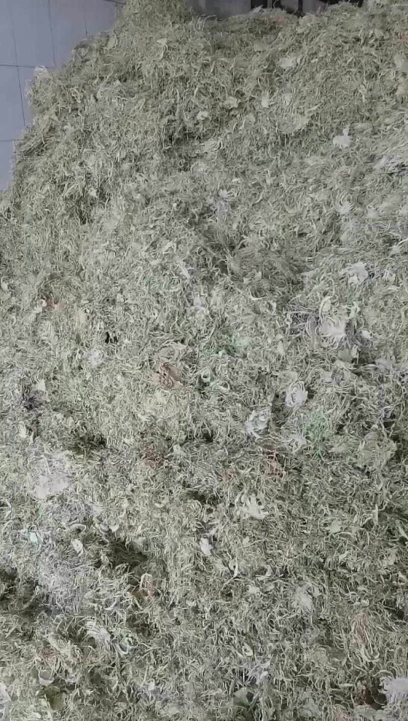 精品包菜丝产地直发品质保证一手货源量大从优欢迎联系
