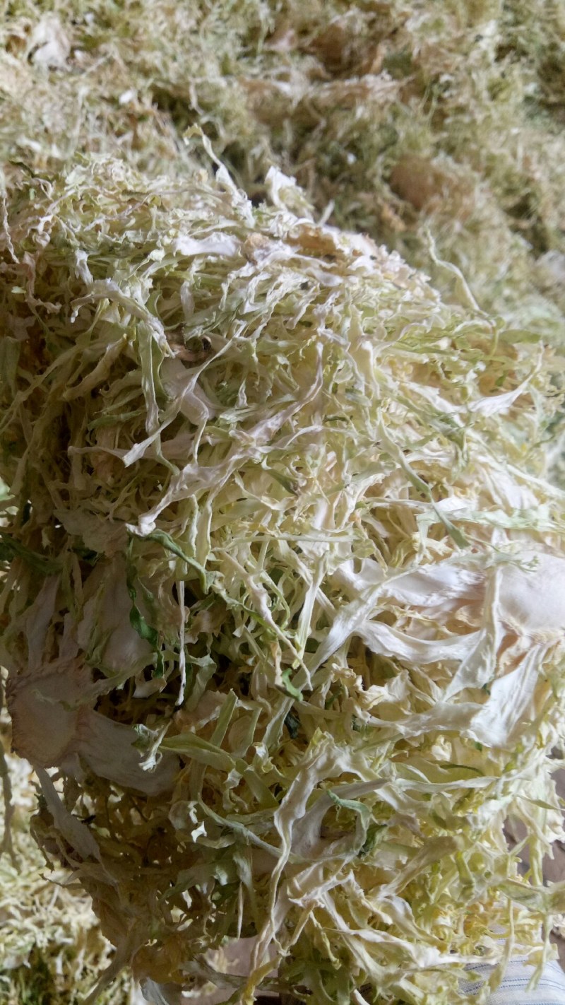 精品包菜丝产地直发品质保证一手货源量大从优欢迎联系