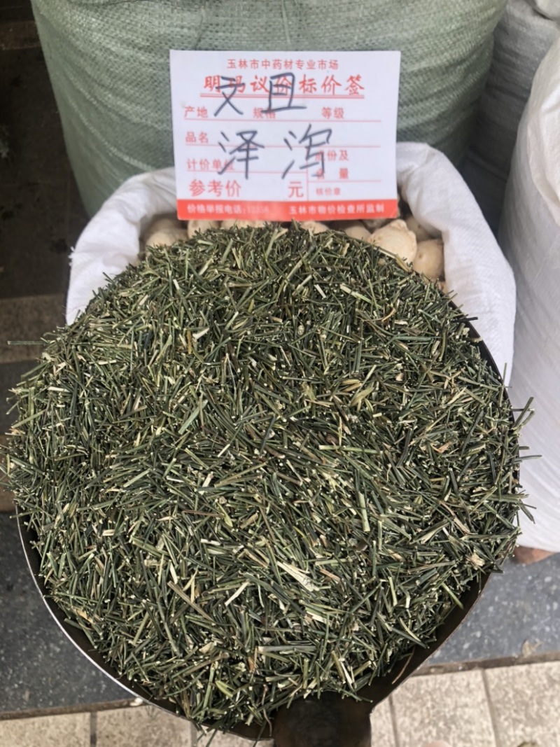 穿心莲产地幼枝颜色非常绿没有中间商赚差价