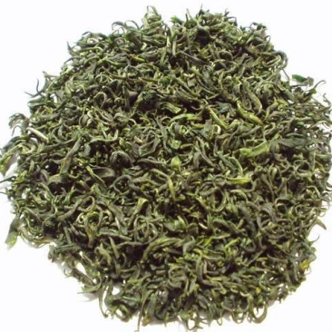 云南今年春茶