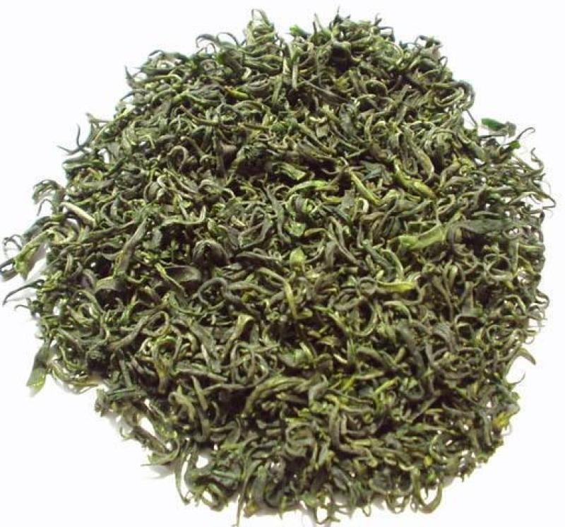 云南今年春茶