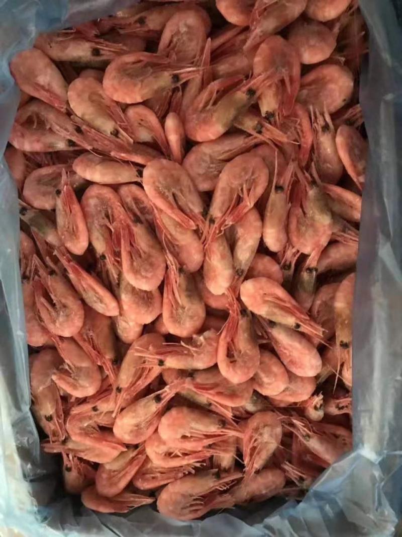 10.5一斤出北极虾出北极虾5kg装。烟台提货