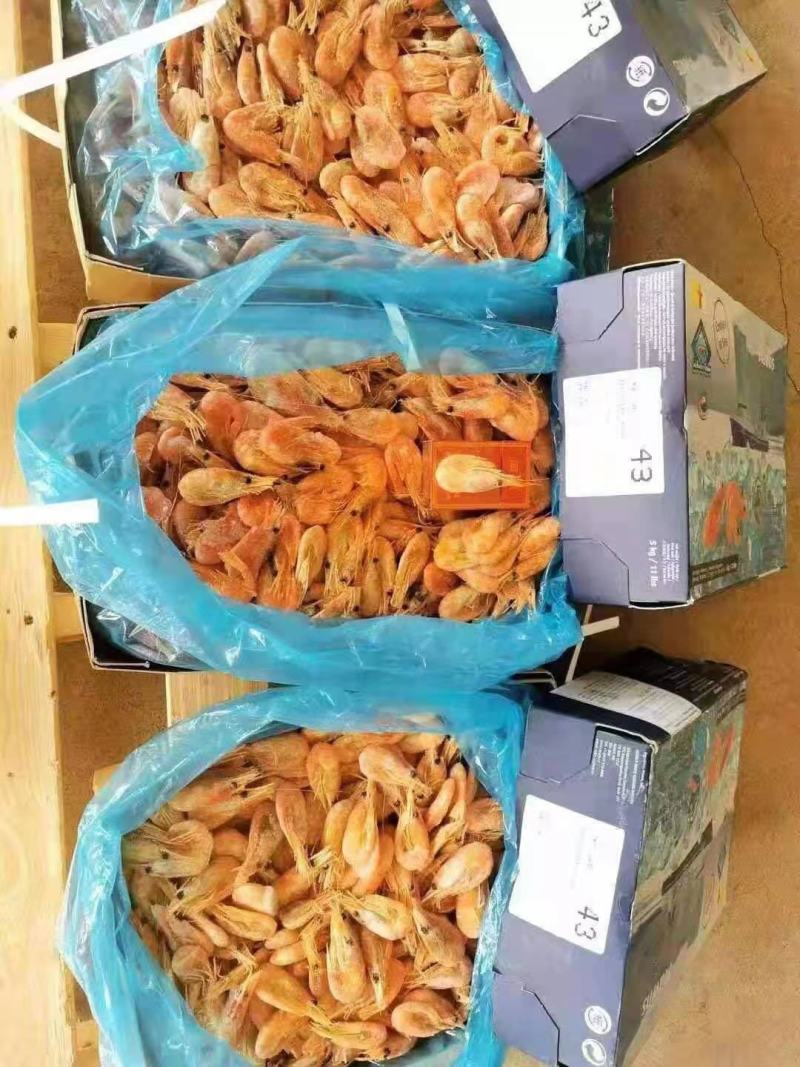 10.5一斤出北极虾出北极虾5kg装。烟台提货
