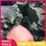 防蜂衣全套透气专用半身带防蜂帽包邮养蜂服透气型养蜂工具防