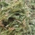 云南野生药材伸筋草500g包邮