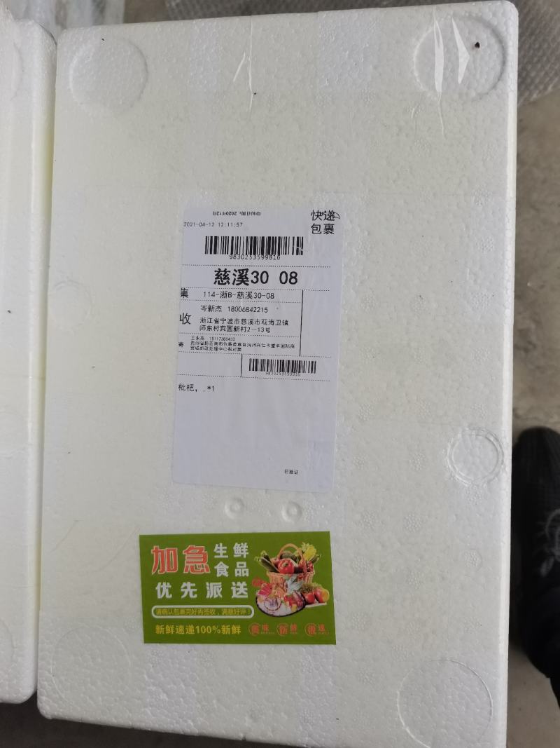 【大五星枇杷】基地直发欢迎欢迎热烈欢迎欢迎欢迎热烈欢迎