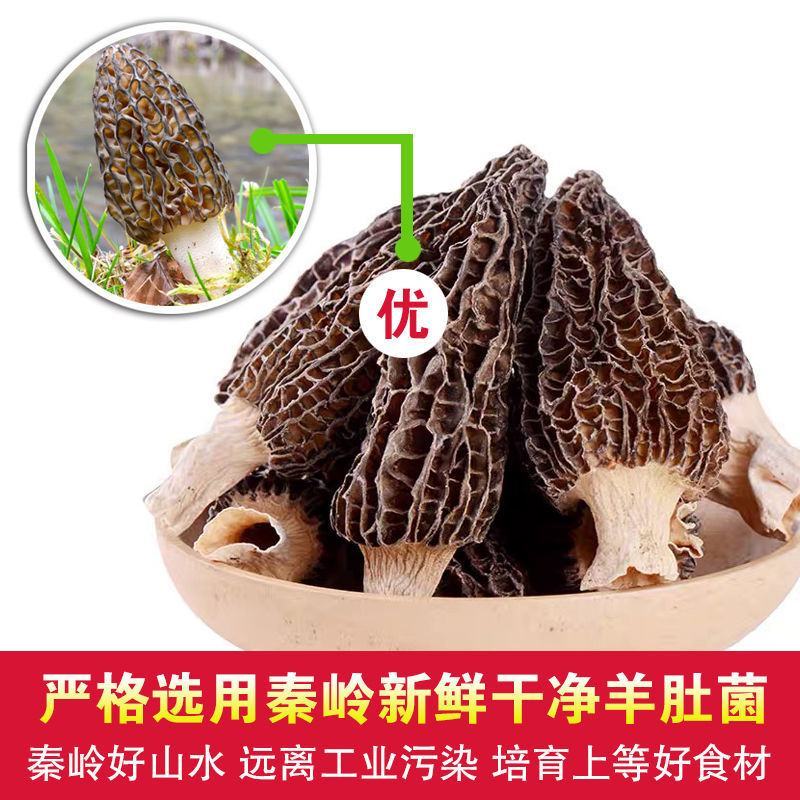 高海拔羊肚菌菇新鲜野生蘑菇菌类干货批发煲汤食材50g包邮