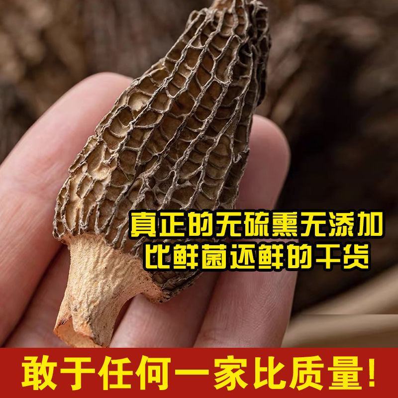 高海拔羊肚菌菇新鲜野生蘑菇菌类干货批发煲汤食材50g包邮