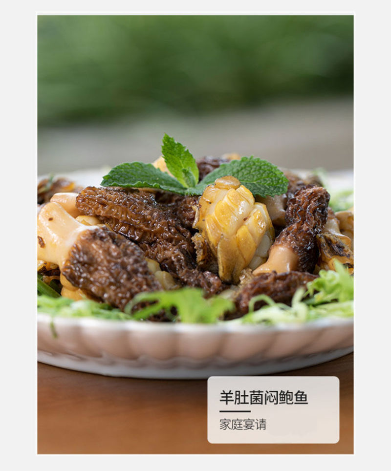 高海拔羊肚菌菇新鲜野生蘑菇菌类干货批发煲汤食材50g包邮