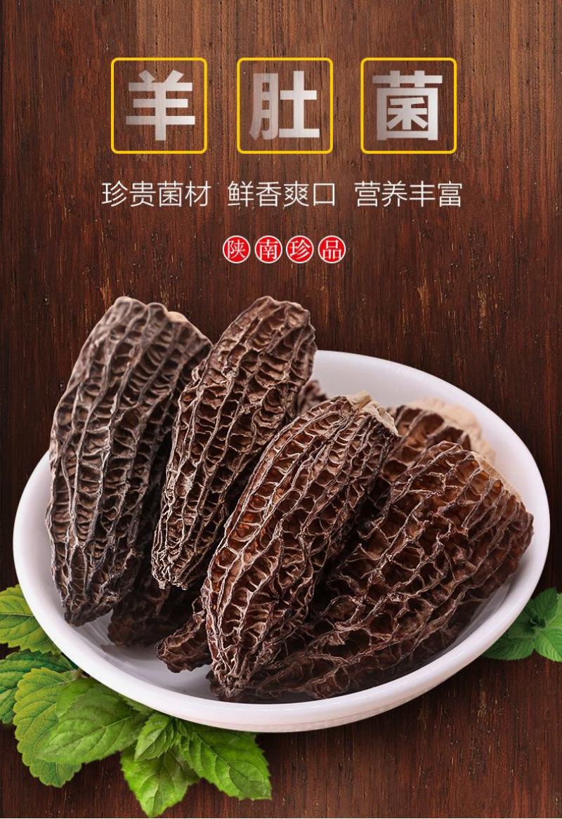 高海拔羊肚菌菇新鲜野生蘑菇菌类干货批发煲汤食材50g包邮