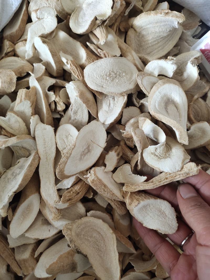 中药材大罗伞野生粉质罗伞