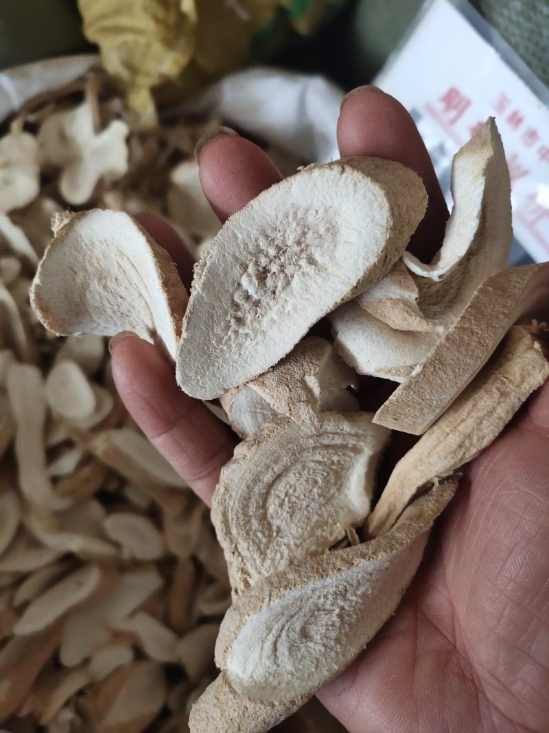 中药材大罗伞野生粉质罗伞