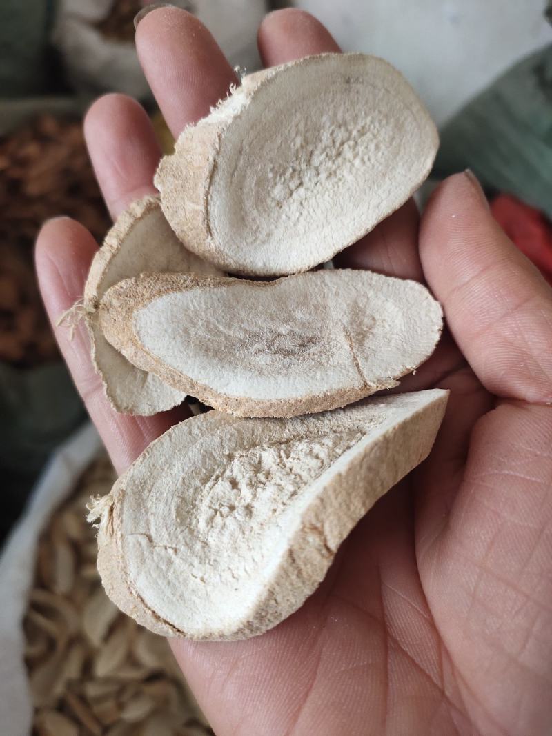 中药材大罗伞野生粉质罗伞