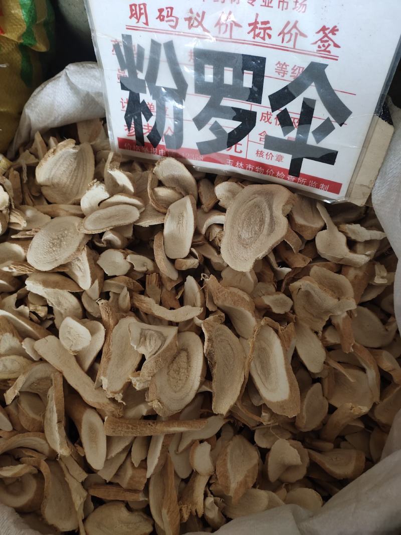 中药材大罗伞野生粉质罗伞