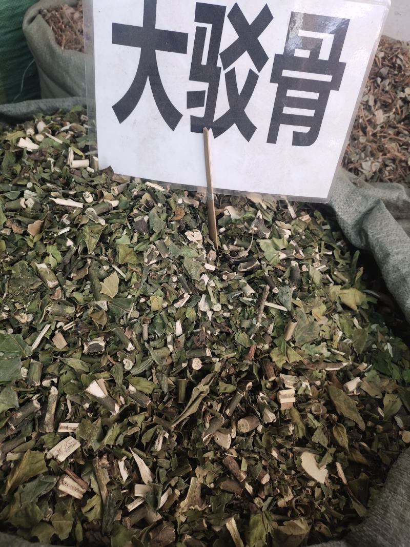 野生大驳骨中药材大驳骨颜色青绿