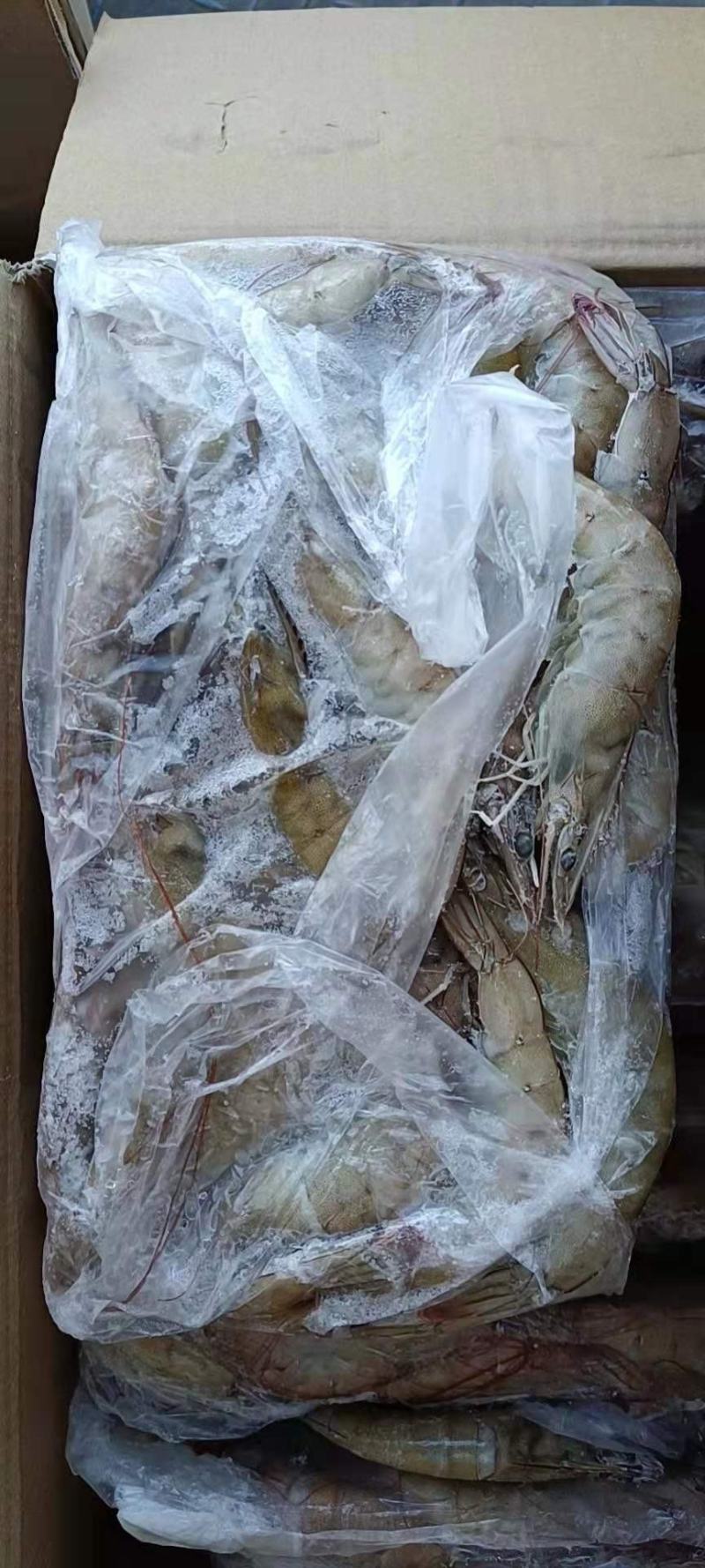 国产大虾质量好的一箱6块毛重24斤净重16.8