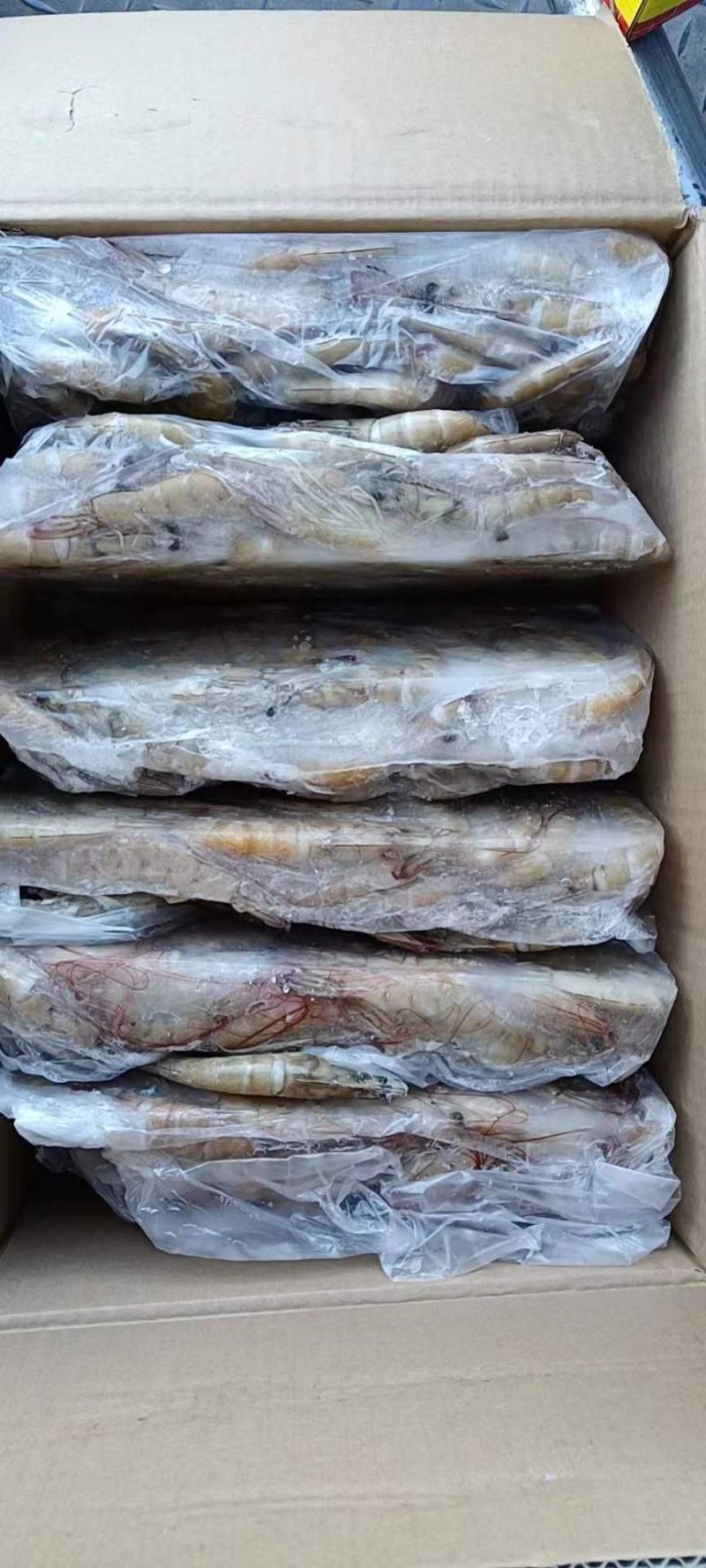 国产大虾质量好的一箱6块毛重24斤净重16.8