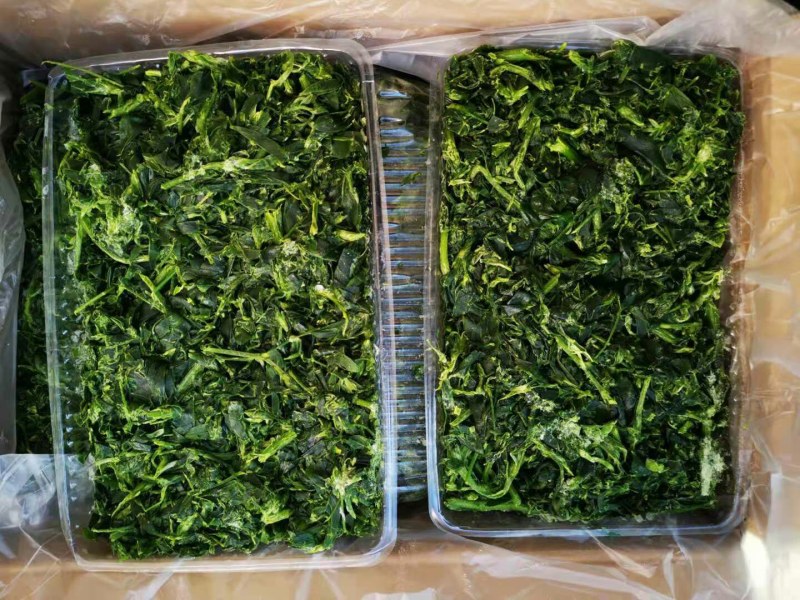 苜蓿批发批发冷冻苜蓿金花菜食材