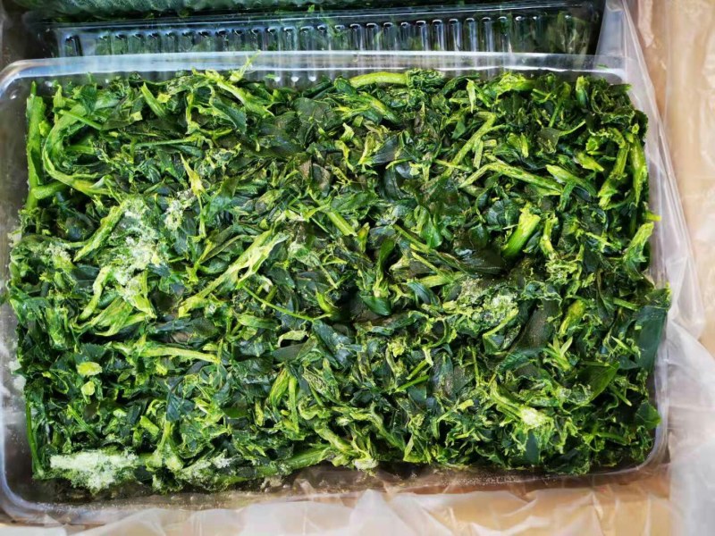 苜蓿批发批发冷冻苜蓿金花菜食材