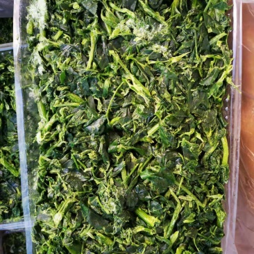苜蓿批发批发冷冻苜蓿金花菜食材