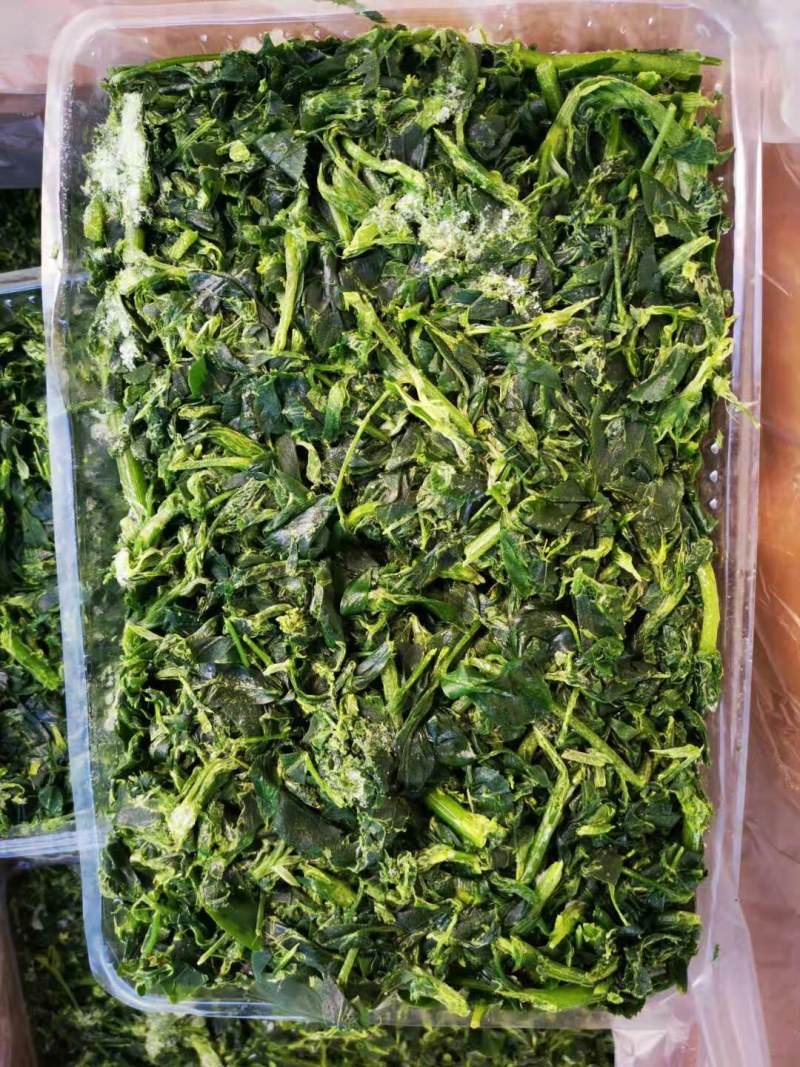 苜蓿批发批发冷冻苜蓿金花菜食材