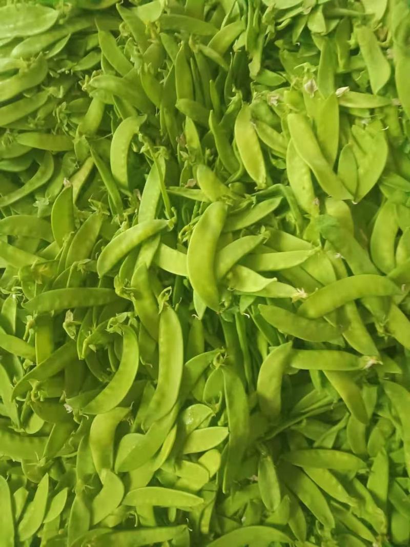 荷兰豆豌豆片产地直销大量上市货源稳定打包加冰瓶发货