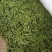 荷兰豆豌豆片产地直销大量上市货源稳定打包加冰瓶发货