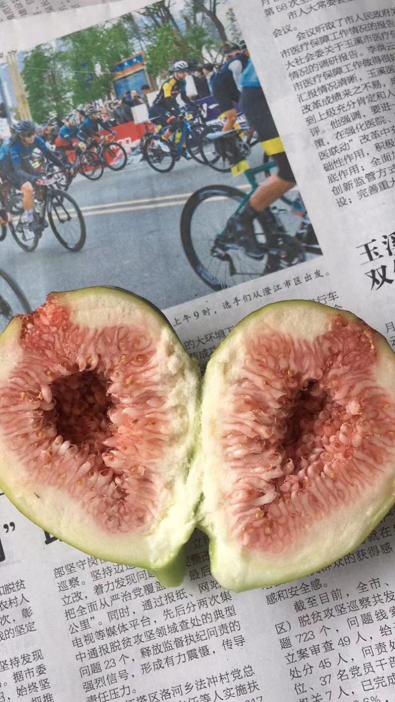反季节无花果量大
