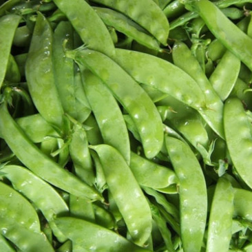 荷兰豆豌豆片产地直销大量上市货源稳定打包加冰瓶发货
