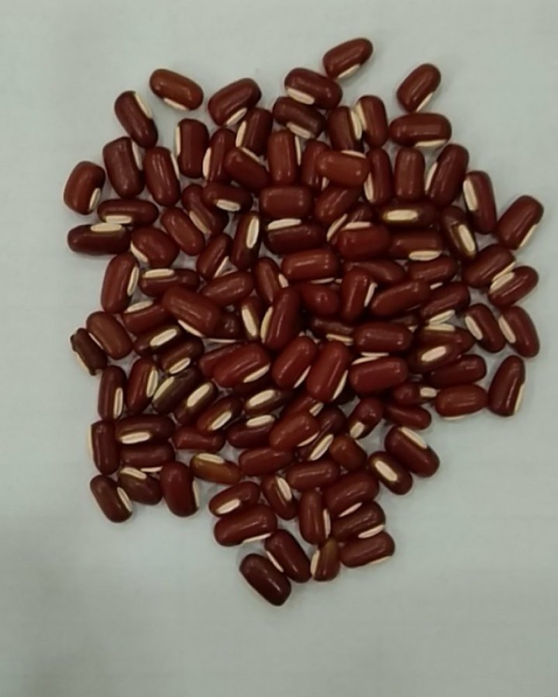 海华农产品缅甸赤小豆
