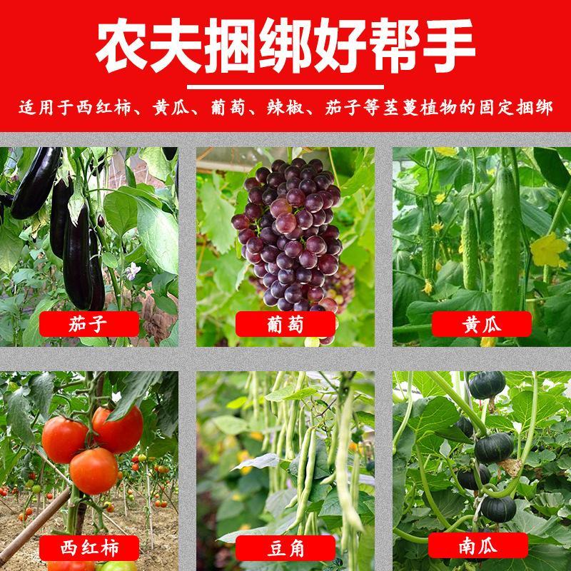 绑枝夹番茄绑枝机黄瓜绑蔓机绑蔓枪大棚果蔬捆绑器绑蔓夹
