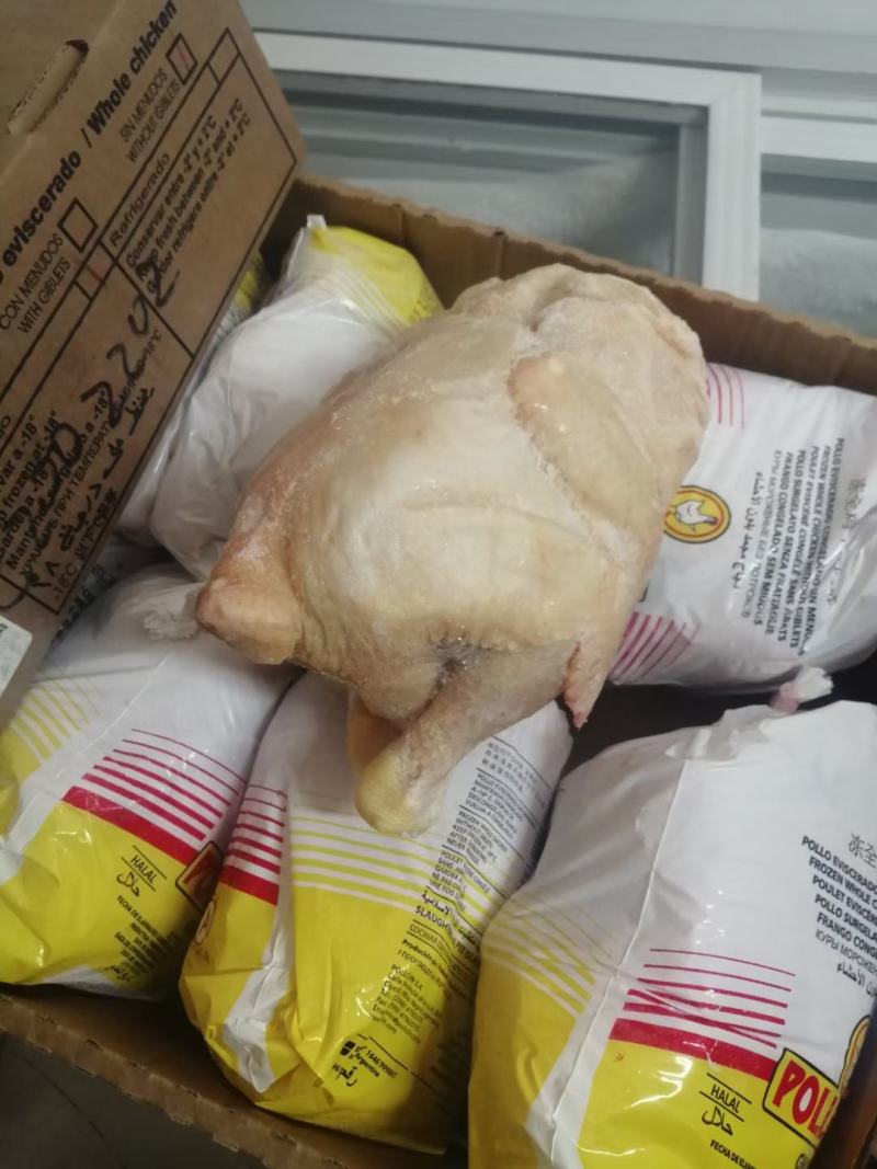 阿根廷西装鸡