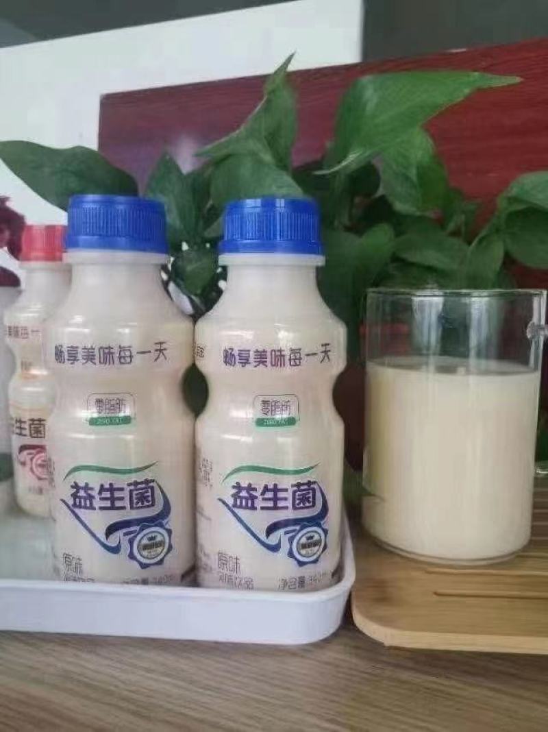 地摊热卖达利园乳酸菌发酵饮料胃动力同款厂里直销