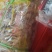 腐竹厂家一手货源发货，量大优惠，优惠多多
