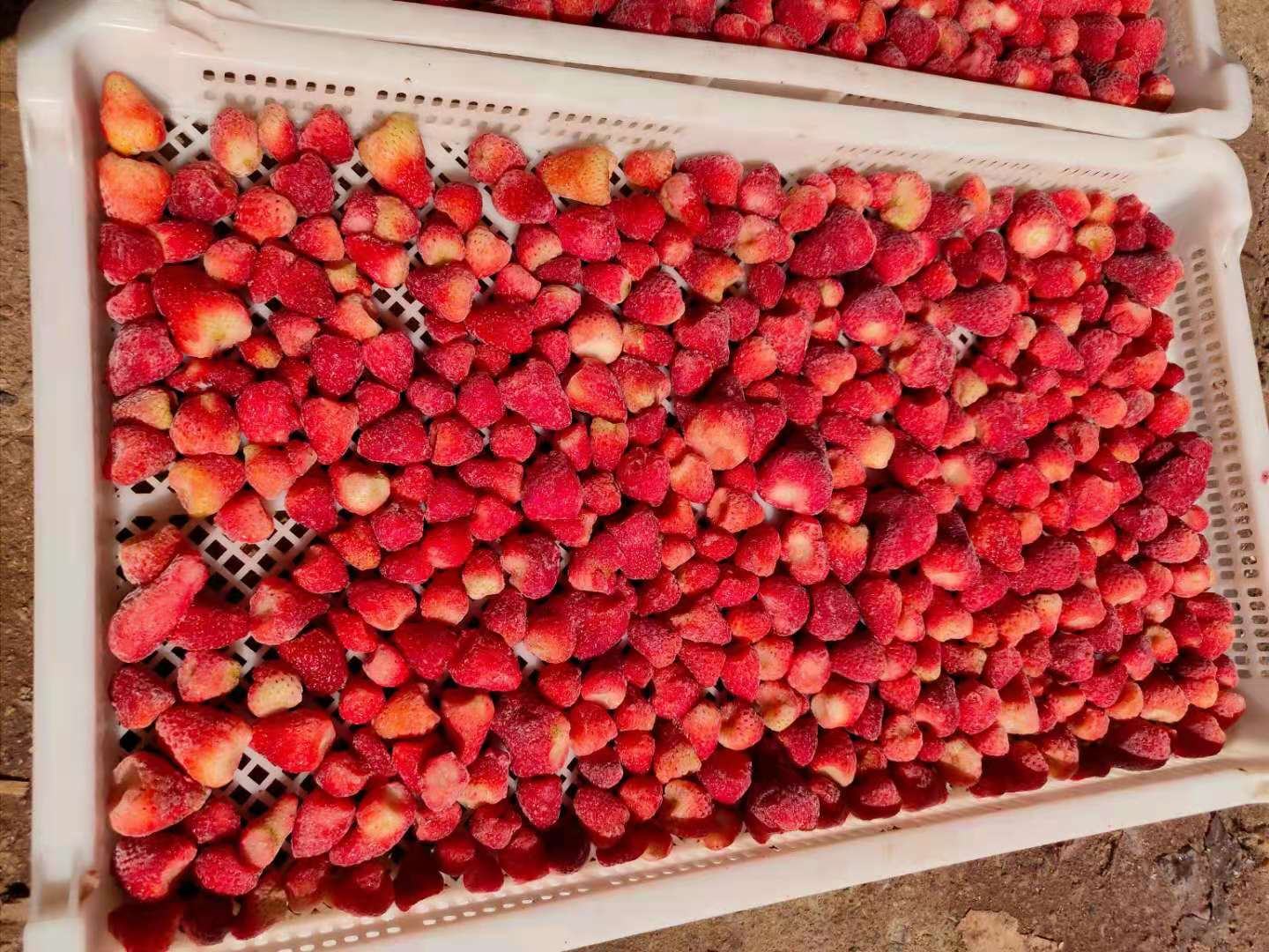 草莓干软化过程图