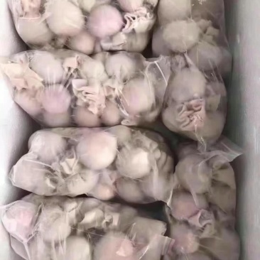 肚包羊肉，20斤定装，一斤称3个左右，一手货源