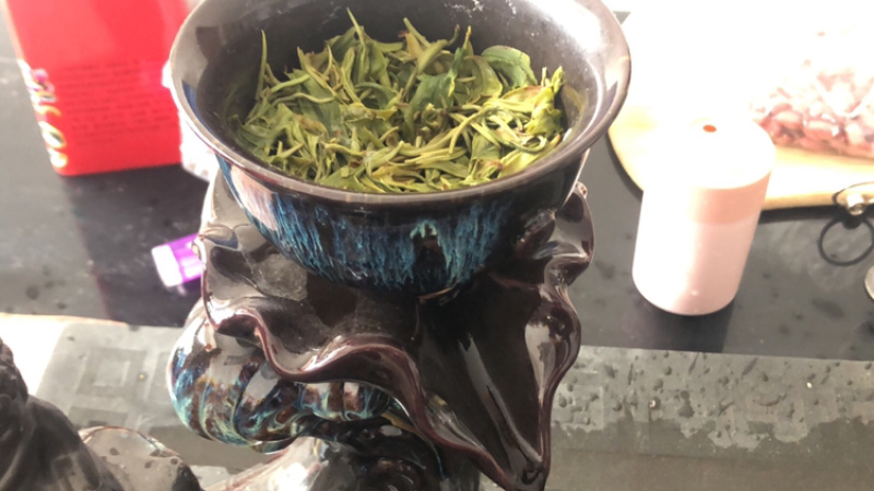 单从乌龙茶凤凰单丛潮汕梅州兴宁黄金桂黄枝香妈妈种高山