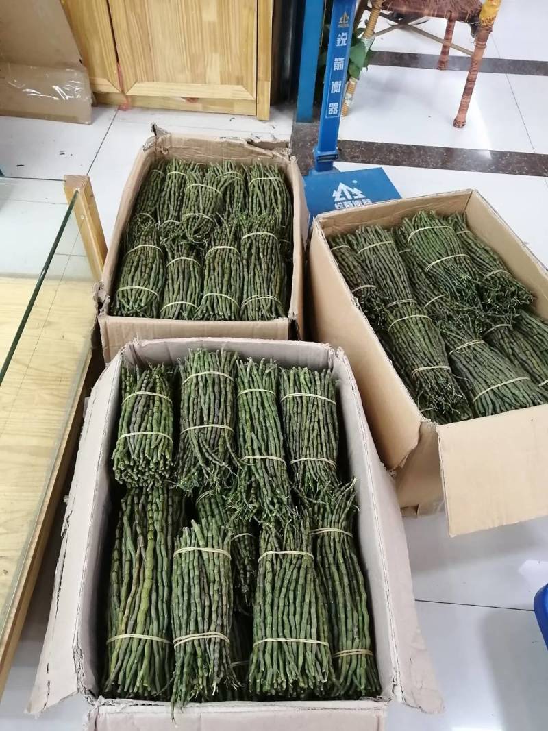 新鲜铁皮石斛礼盒装野生根须粉