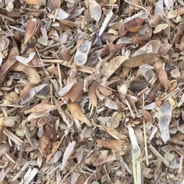 秸秆饲料。