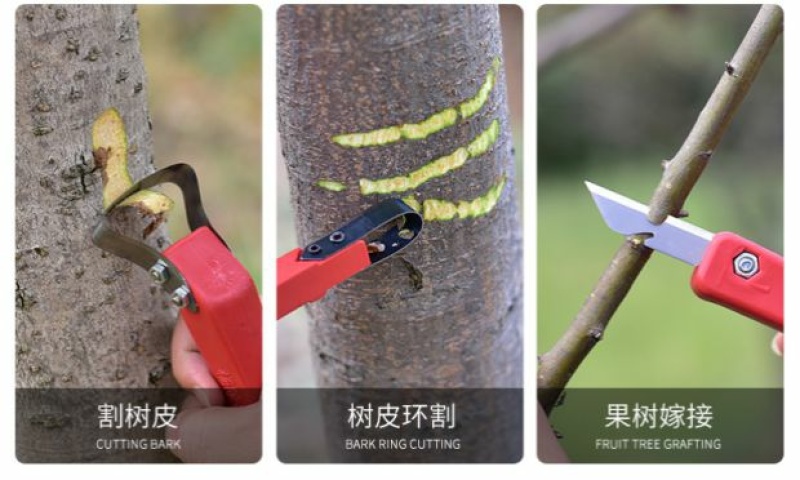 专用腐烂病刮皮树皮刮刀多功能园林果树环剥刀环割刀枣树开甲